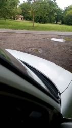 Baise dans les bois prise en flagrant délit pendant que je la prends en levrette