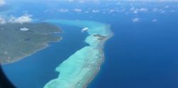 Angela suce en vacances à tahiti