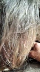 Amateur Couple’s Intimate Blowjob Experience – Real Porn