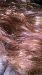 Sophie salope suce bite de Gironde (33)