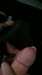 I suck cock hidden under my desk