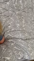 Young amateur blonde sucks my cock hard