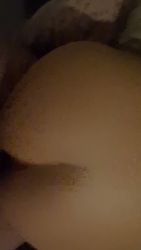 Raw anal with my wife’s gorgeous rear end